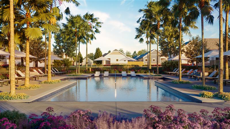 Rectangular swimming pool surrounded by lounge chairs, umbrellas, palm trees, and landscaped gardens with houses in the background under a blue sky.