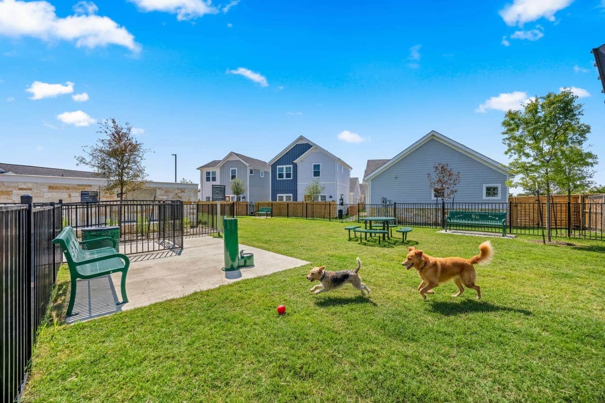 Two dogs play near a red ball in a fenced grassy dog park with benches, picnic tables, and houses in the background under a blue sky.